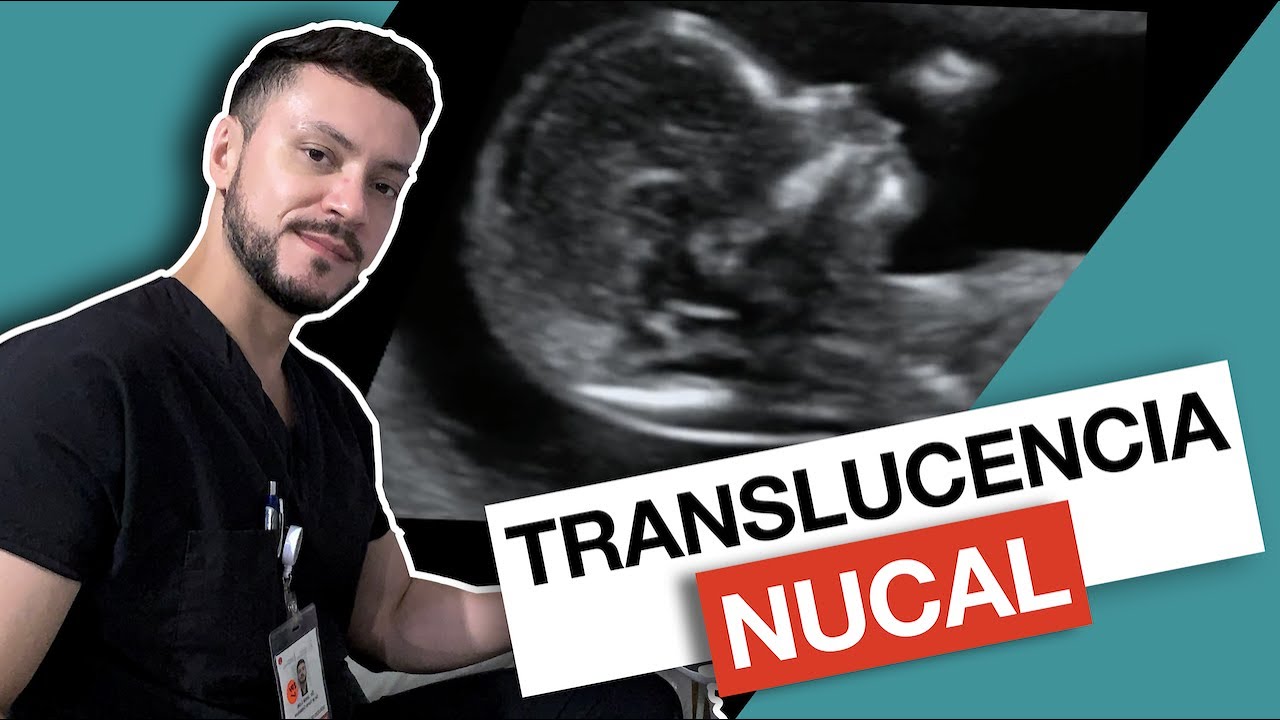 cuando se forma la nariz del feto