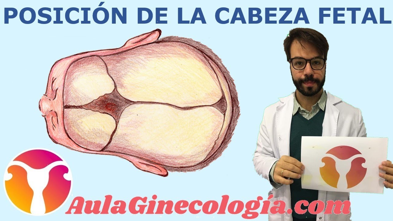 presentaciones del feto en el parto