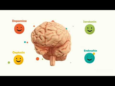 sustancias que produce el cerebro humano