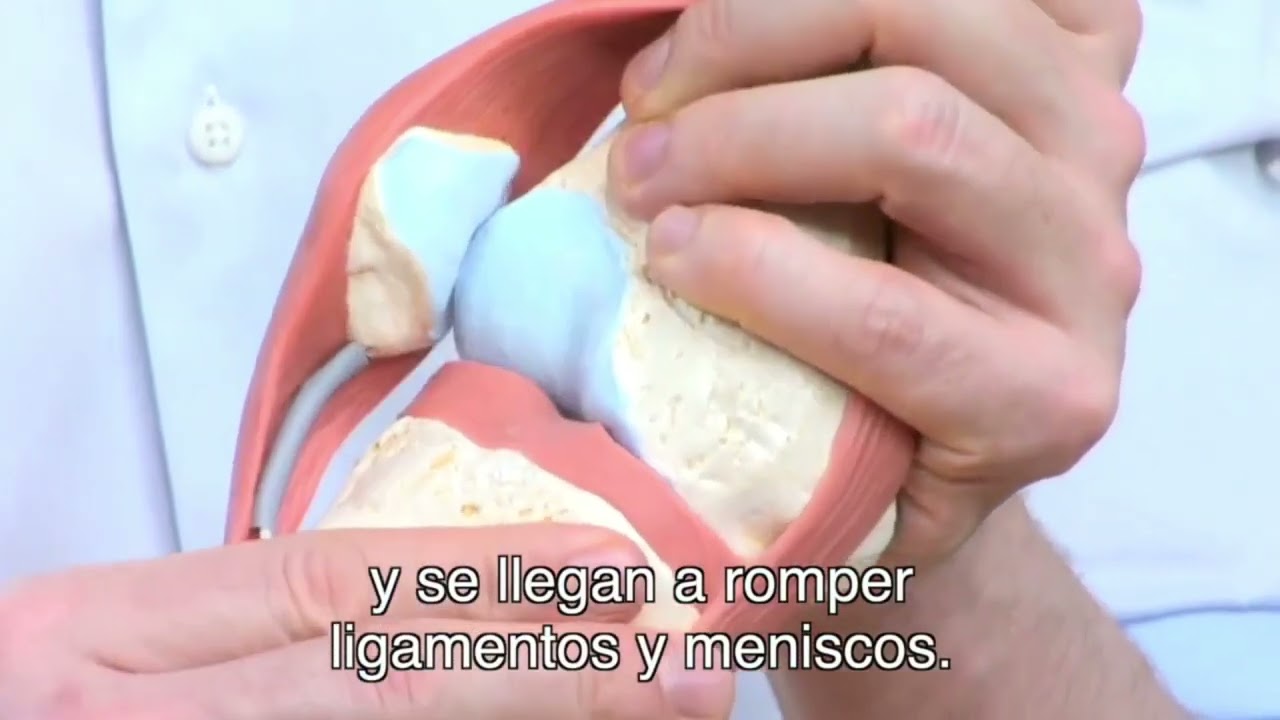 como saber si es menisco o ligamento