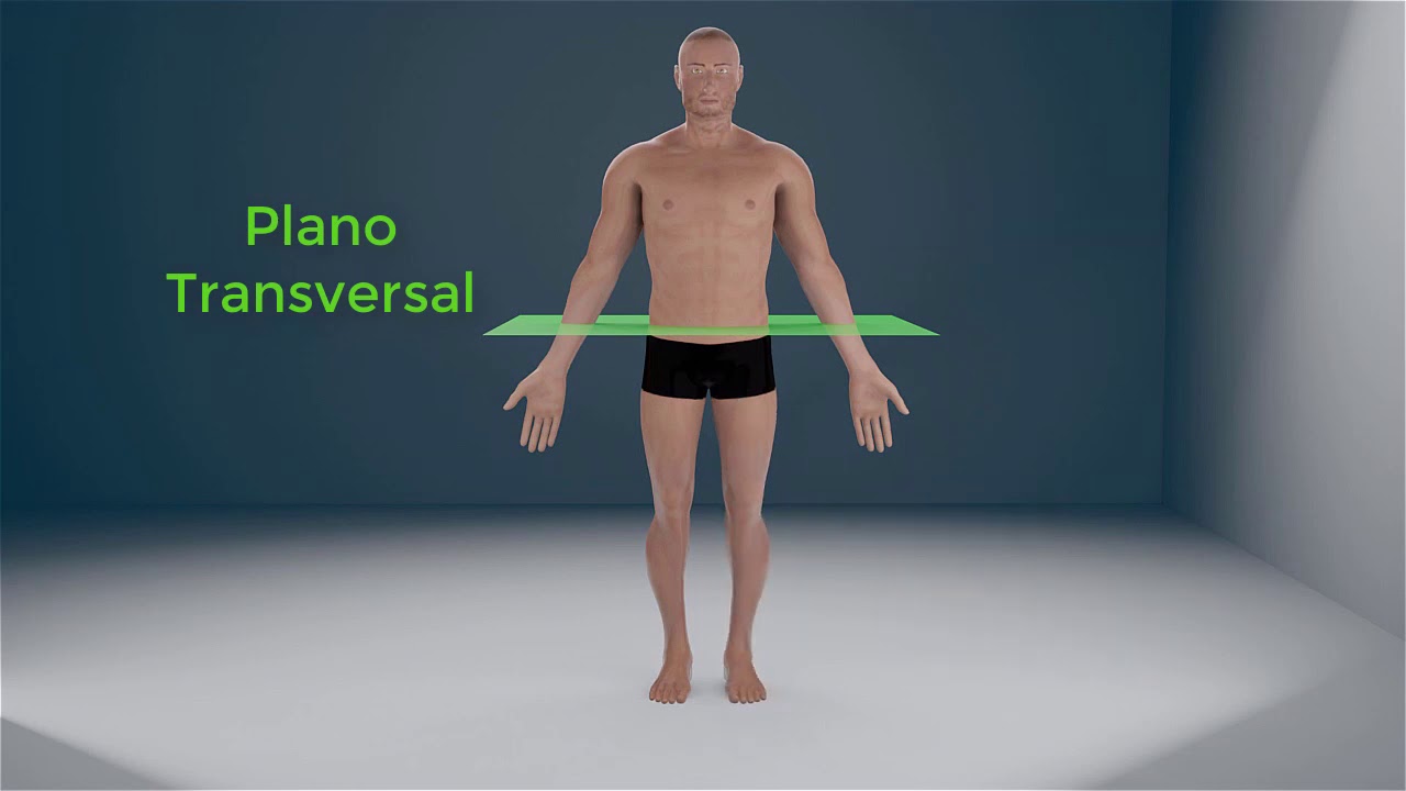 cuales son los planos corporales del cuerpo humano
