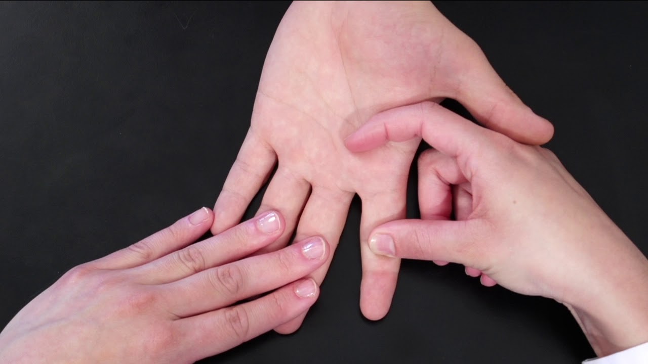 flexores de dedos de la mano