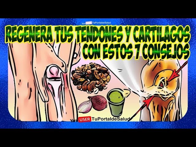 alimentos para los ligamentos y tendones