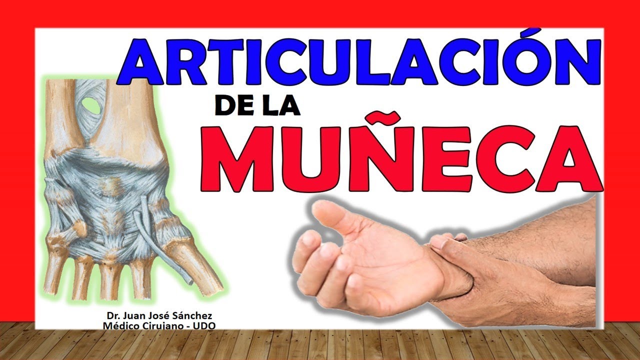 anatomia de la muñeca y mano