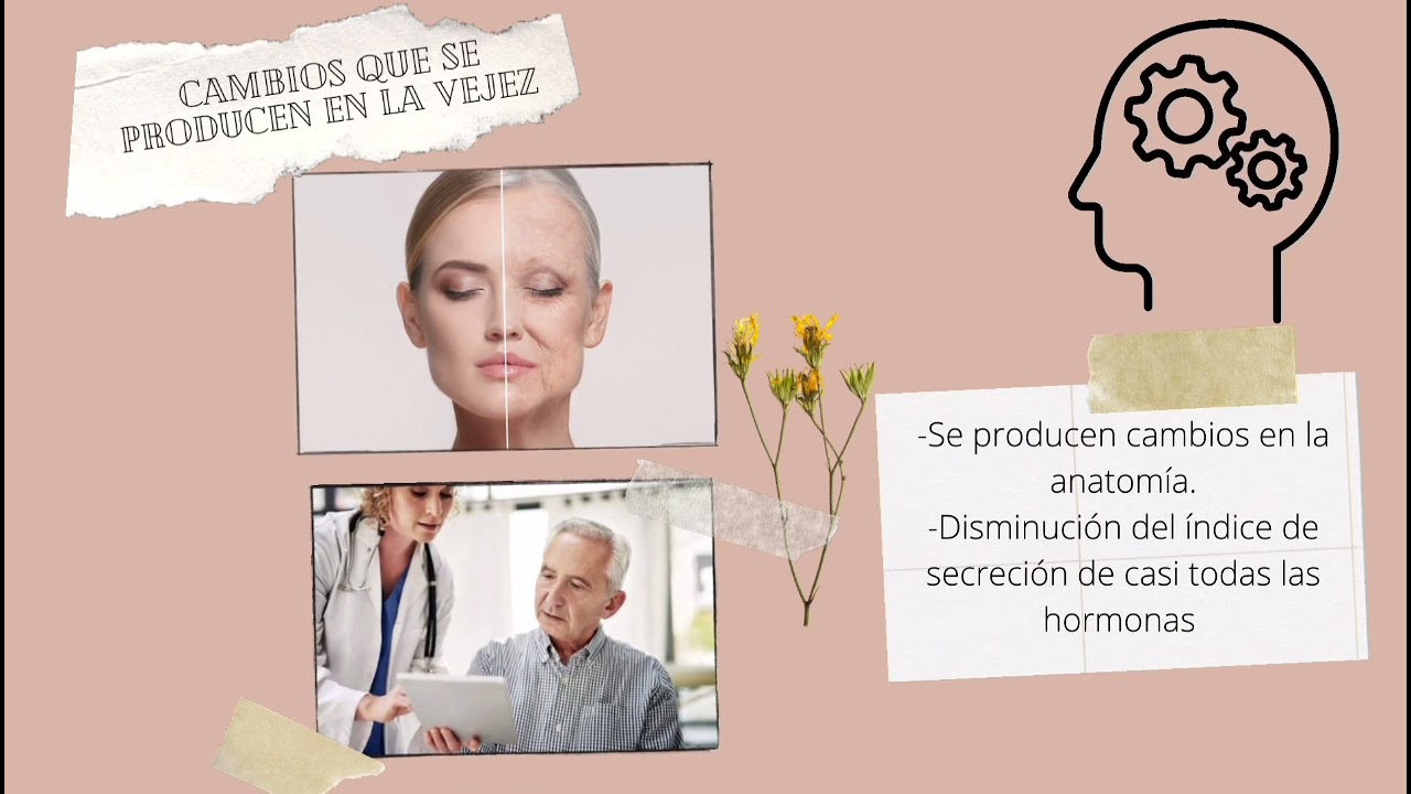 cambios endocrinos en el adulto mayor
