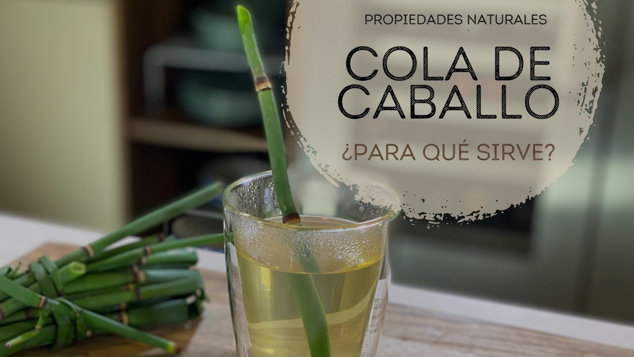 cola de caballo para la incontinencia urinaria