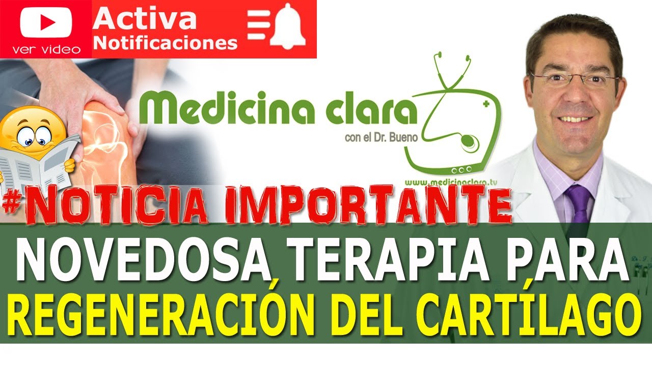 como ayudar a regenerar el cartilago de las rodillas