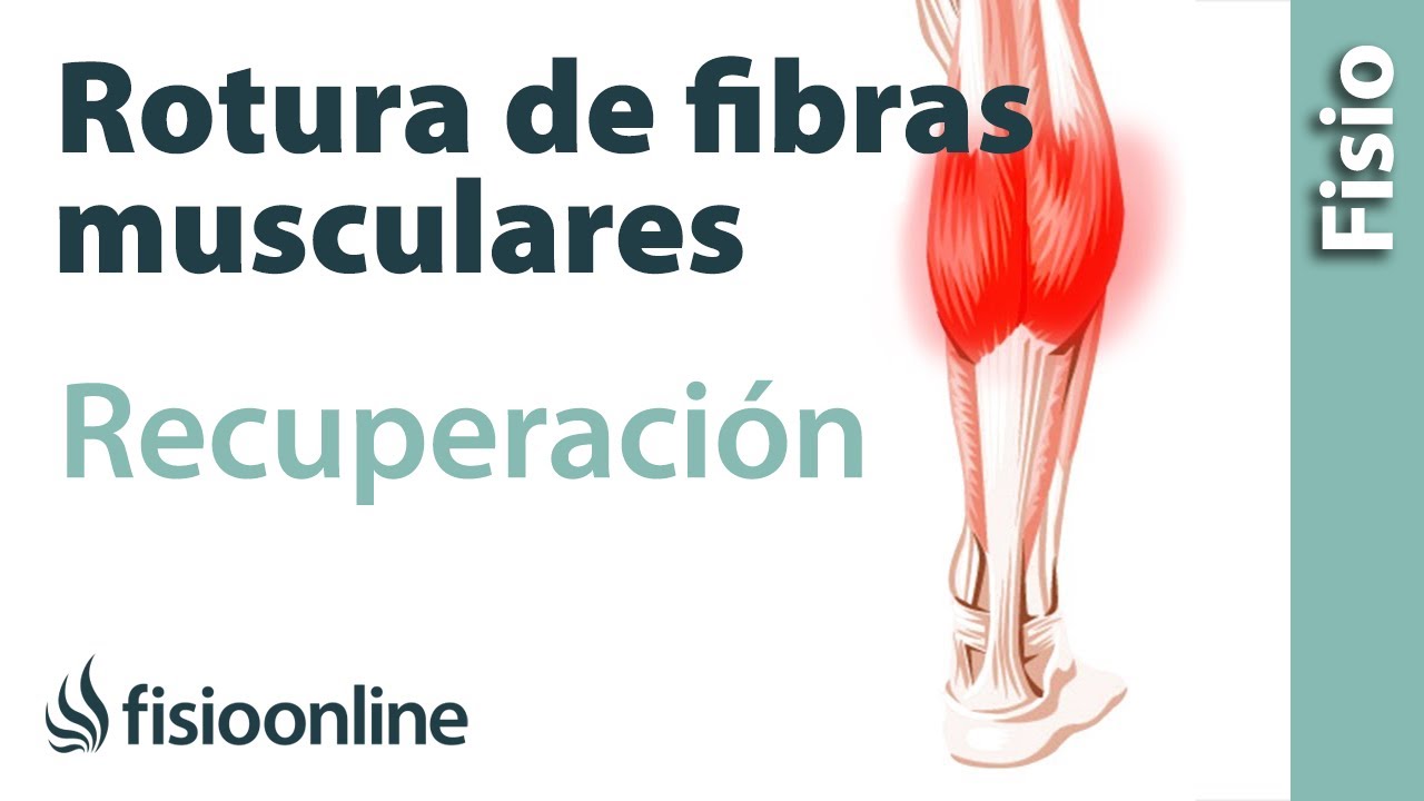 como curar rotura de fibras musculares