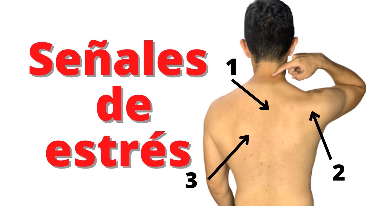 como es el dolor de espalda por estres