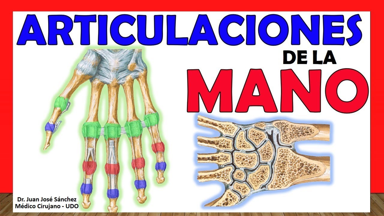 como se llaman las articulaciones de los dedos