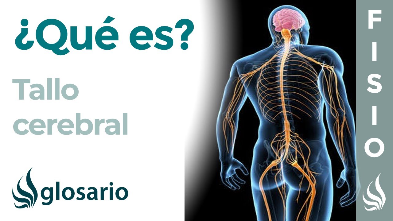 consecuencias de daño en el tallo cerebral