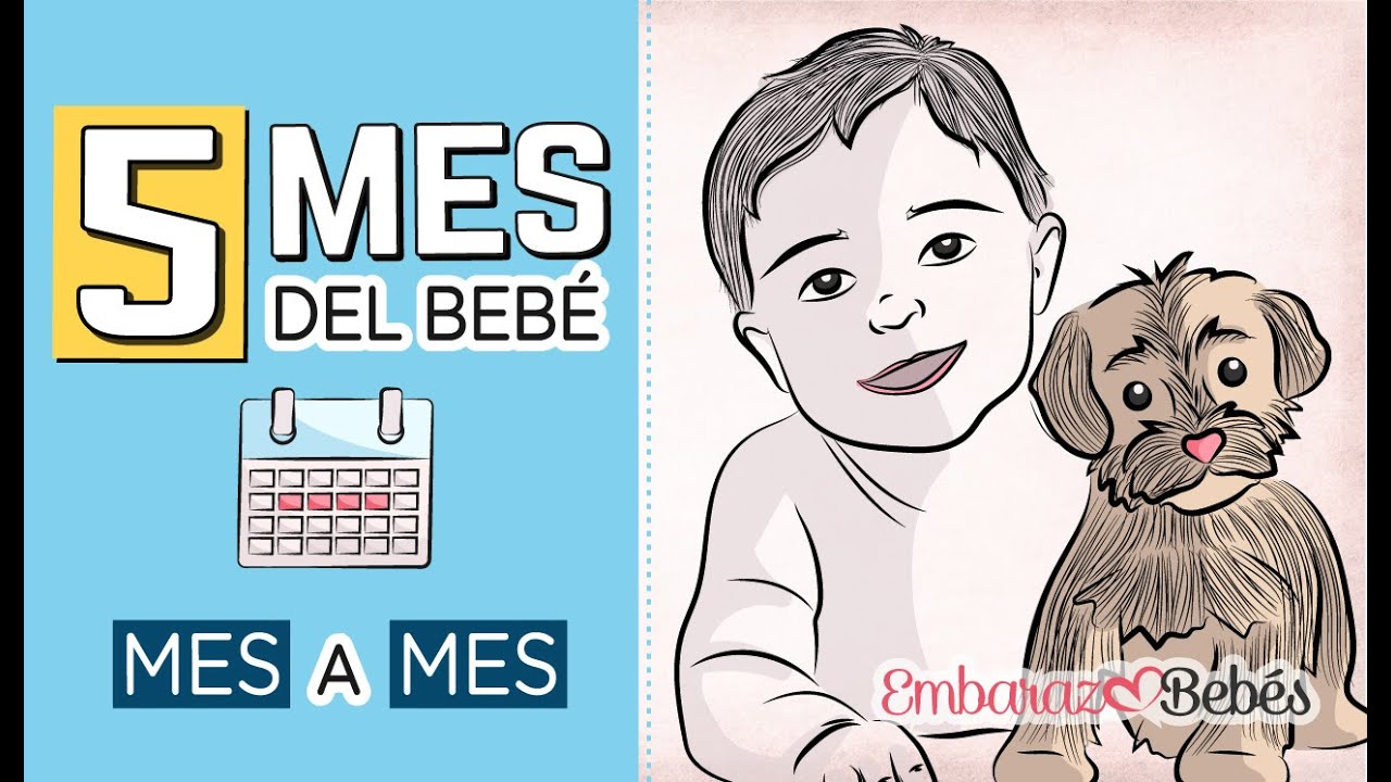 crecimiento del bebe a los 5 meses