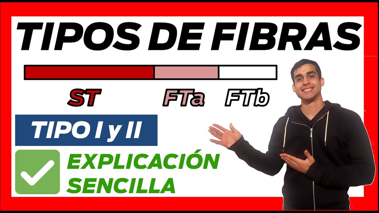 cuales son los tipos de fibras