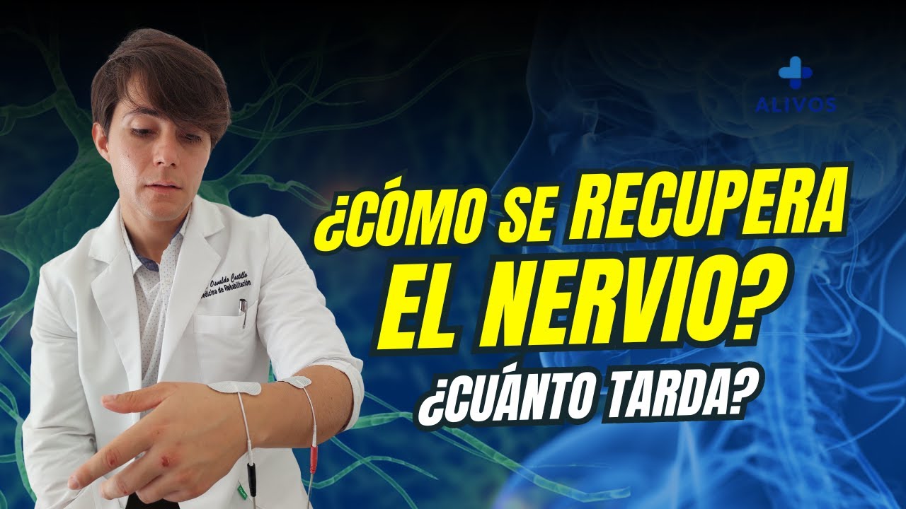 cuanto tarda en sanar un nervio dañado