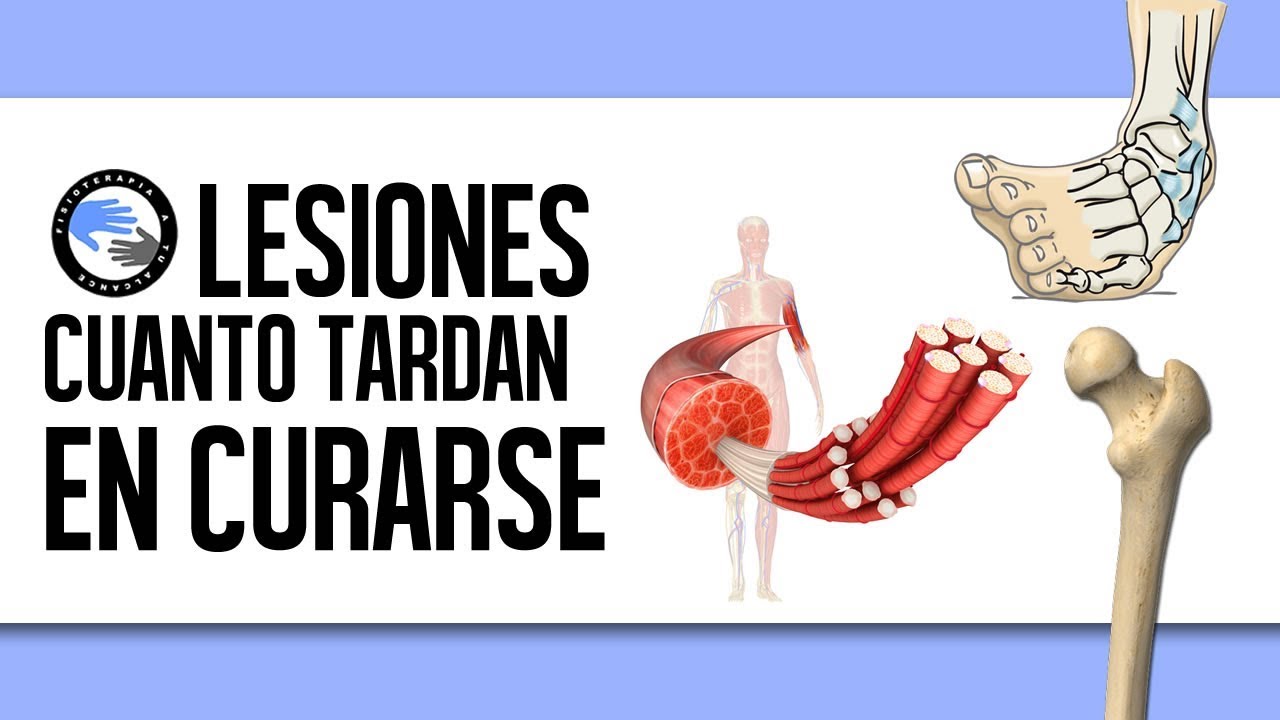 cuanto tiempo tarda en recuperarse un ligamento