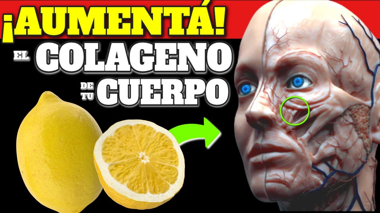 de donde se obtiene el colageno natural