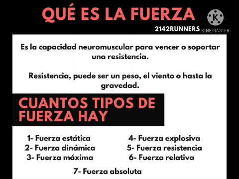 definicion de fuerza estatica en educacion fisica