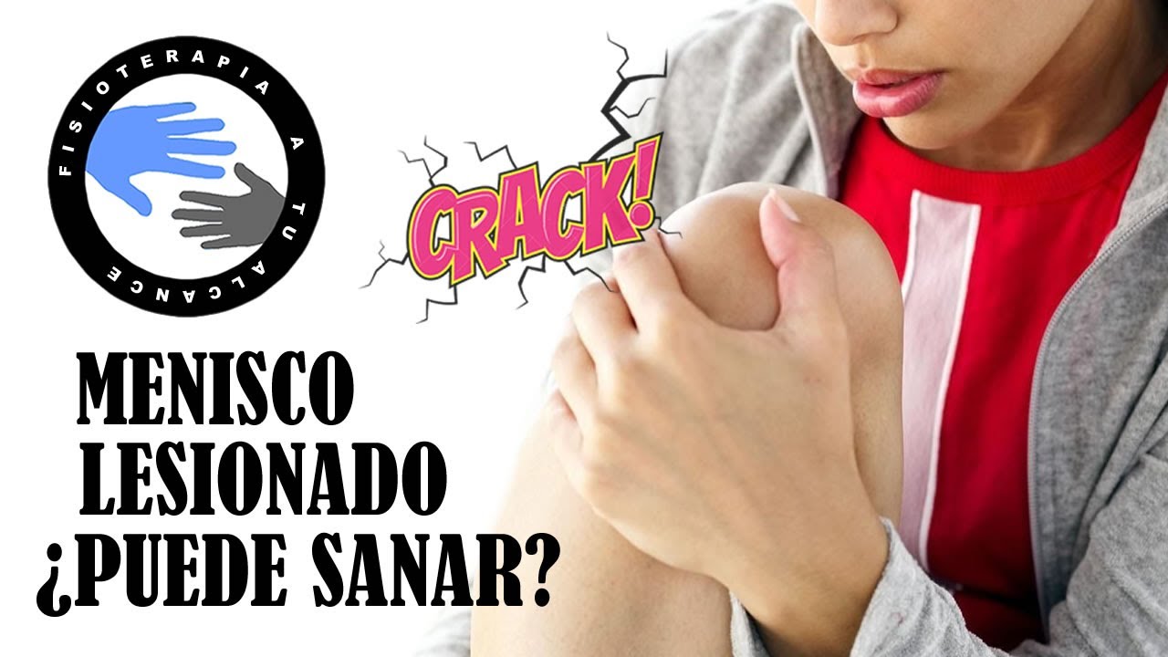 el menisco se regenera por si solo