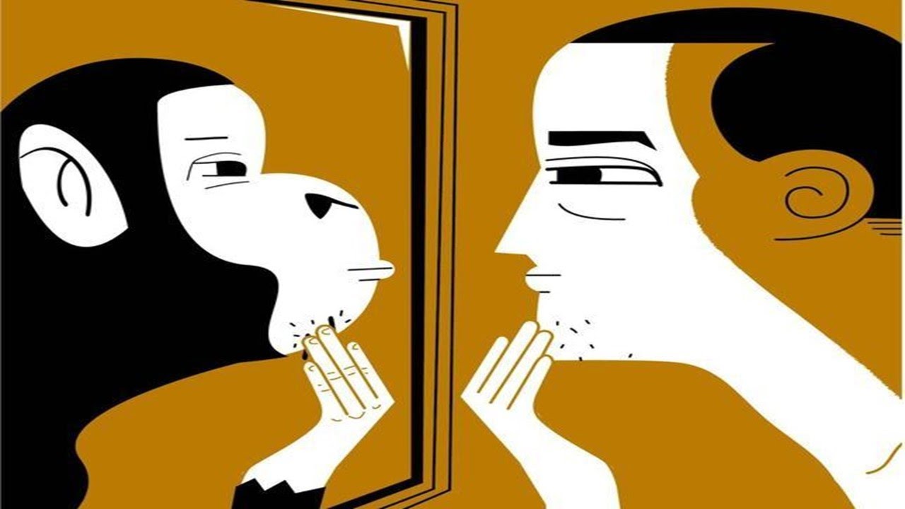 en que nos diferenciamos de los animales