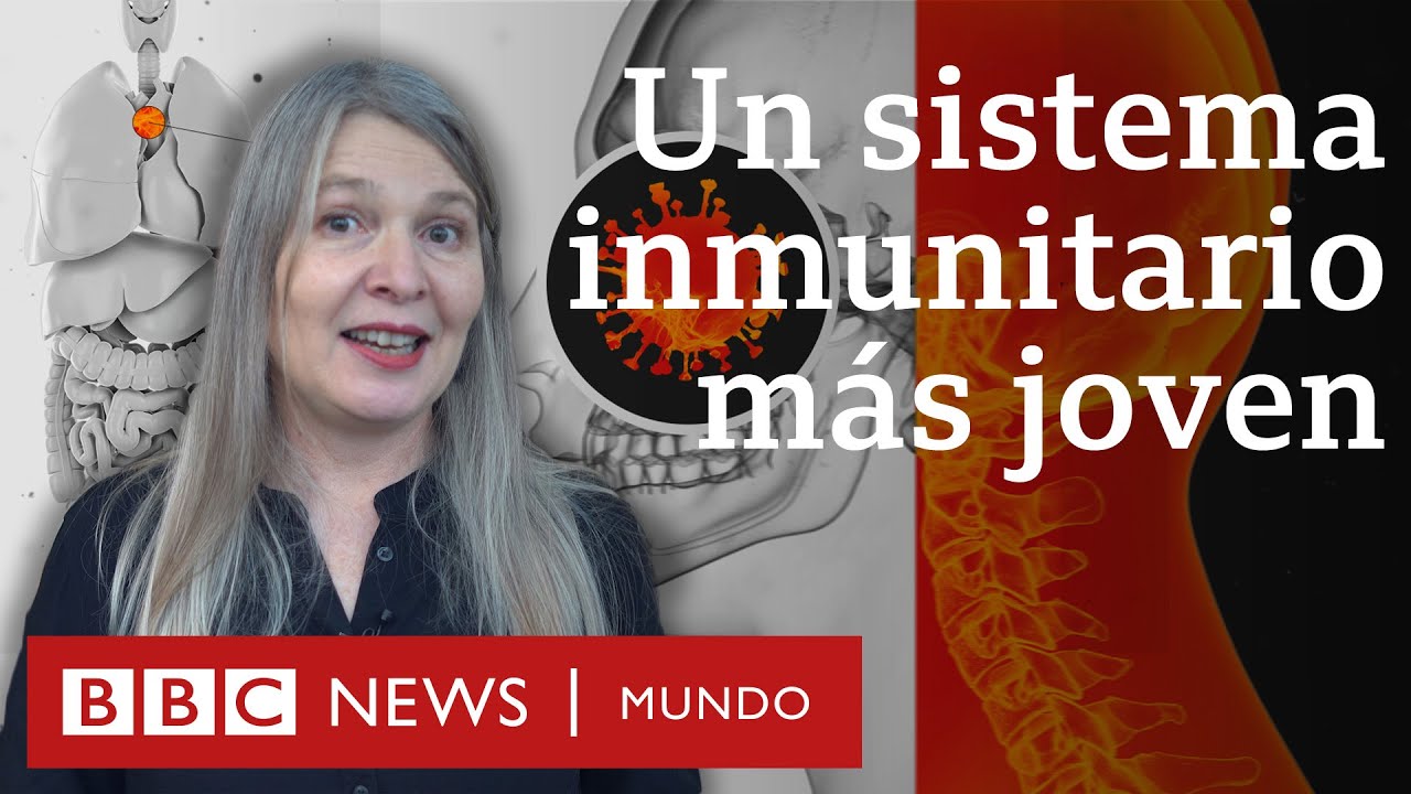 envejecimiento y deterioro del sistema inmune