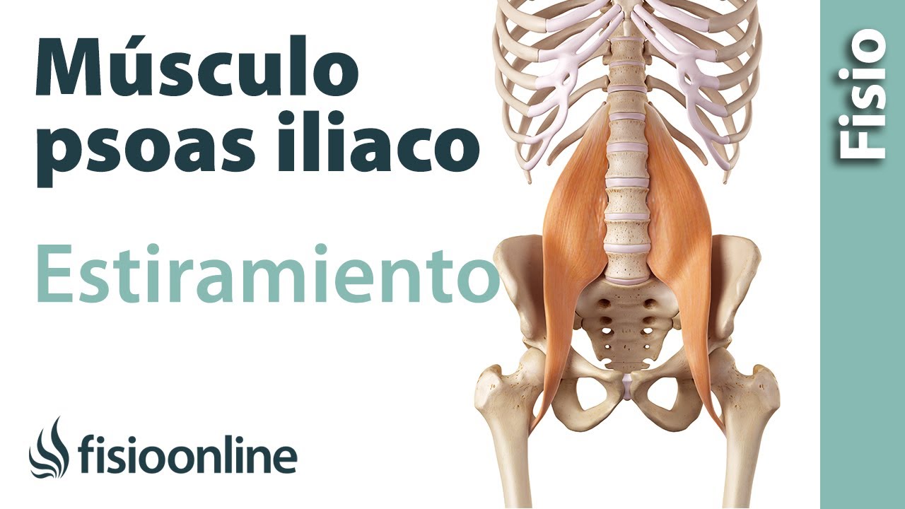 estiramiento de psoas y recto anterior