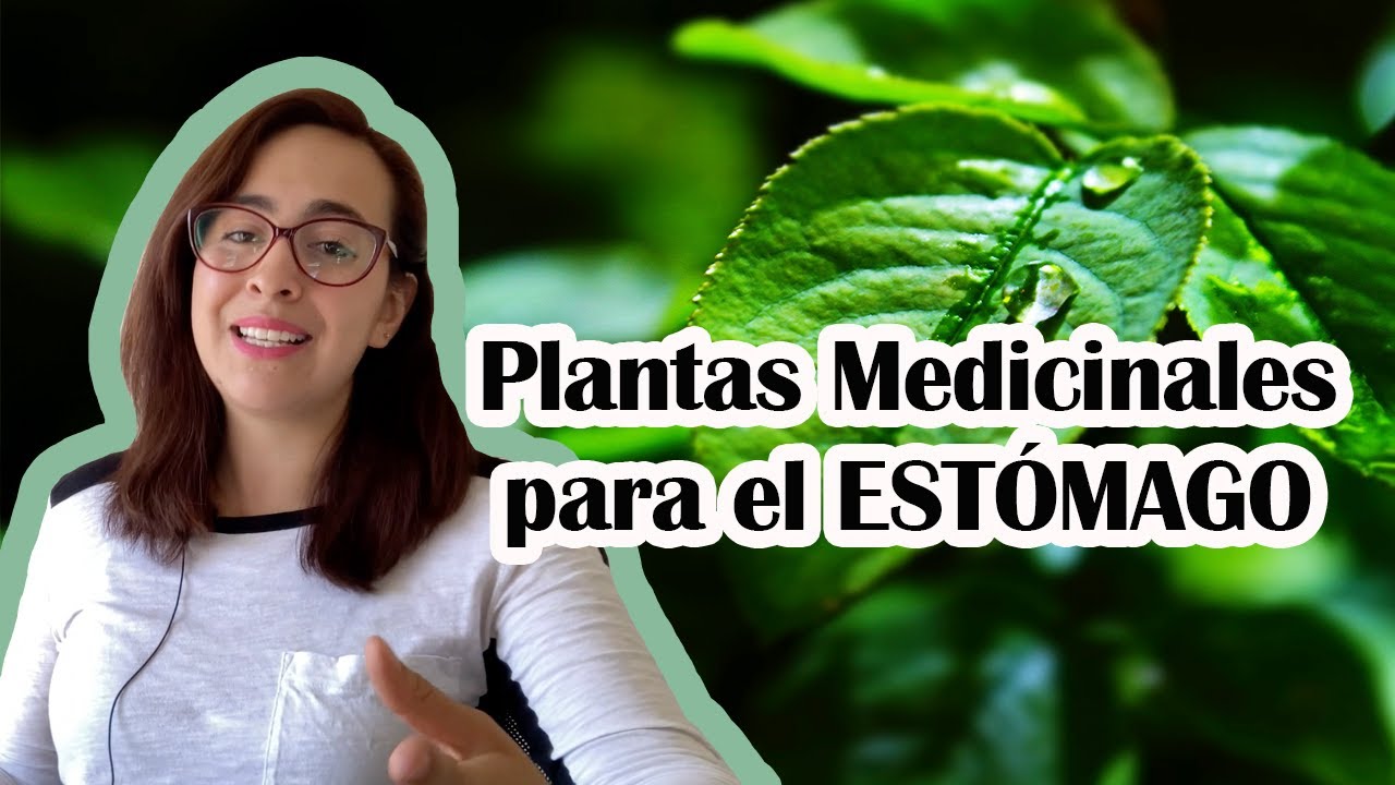 hierbas para bacterias en el estomago
