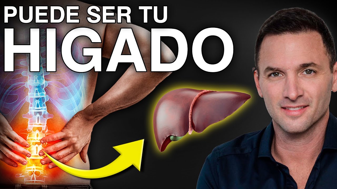 higado graso sintomas dolor de espalda