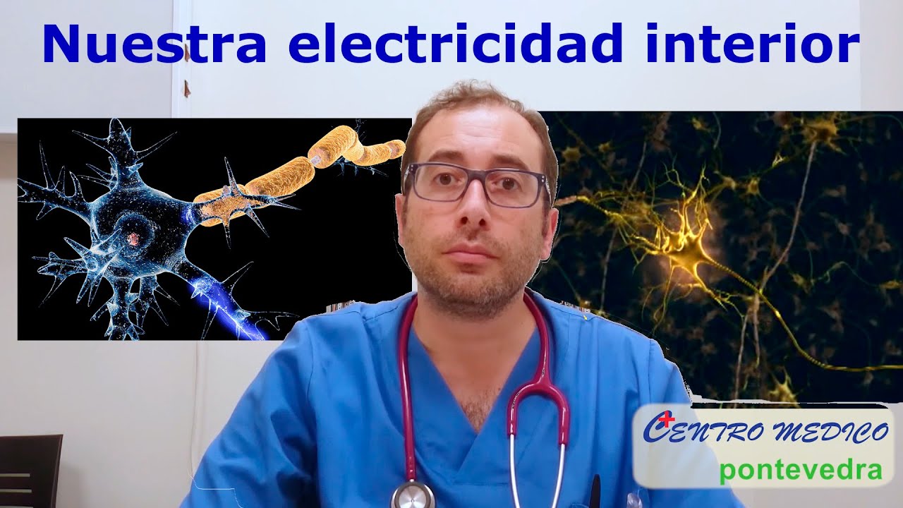 impulsos electricos en el cuerpo humano