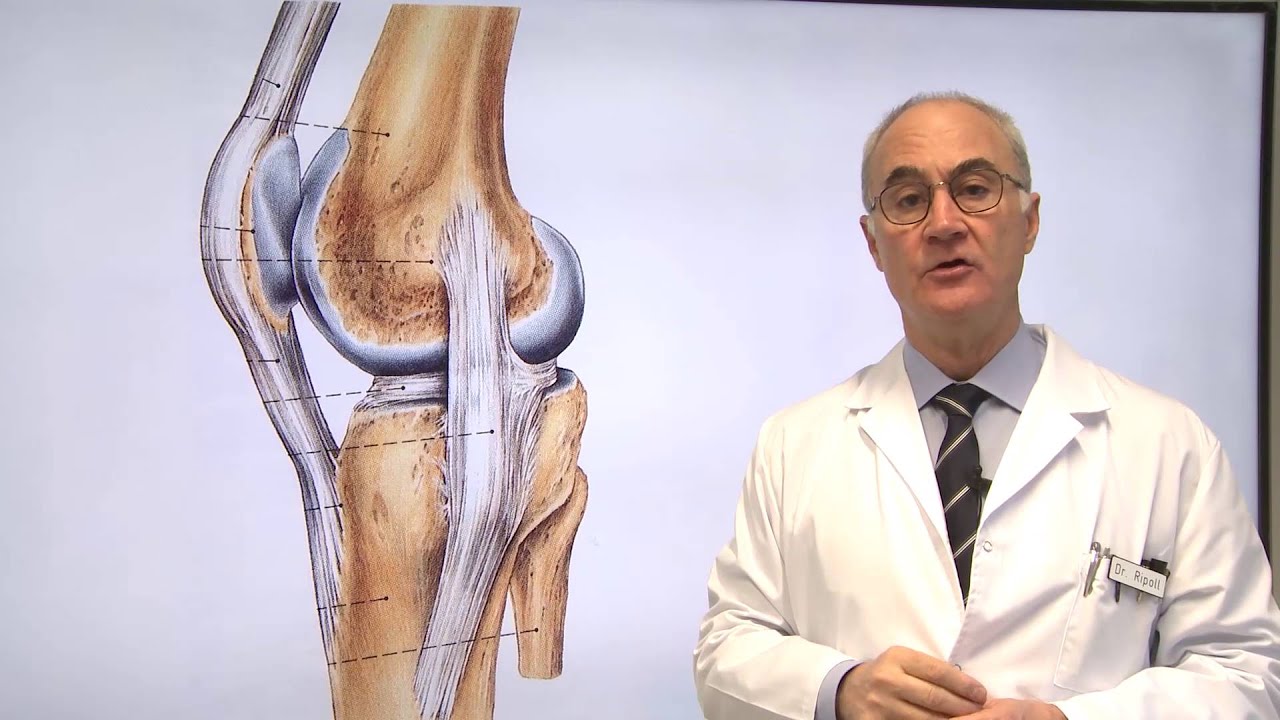ligamento lateral interno tiempo de recuperacion
