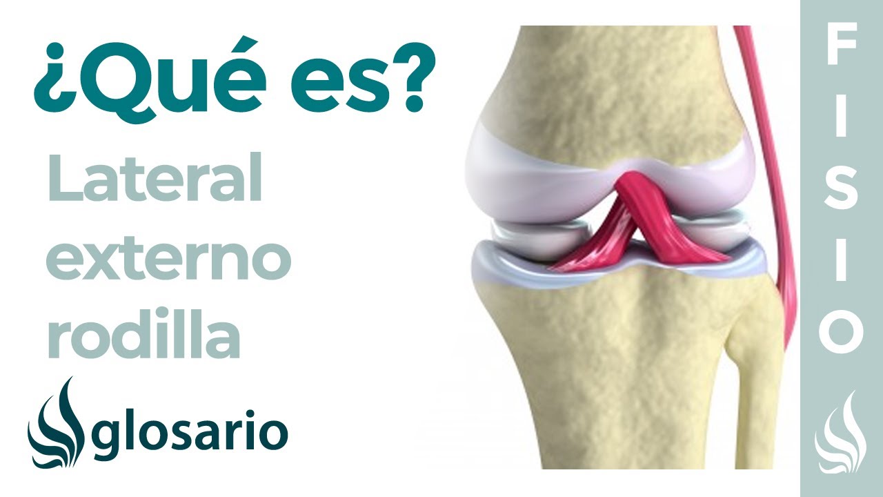 ligamentos laterales de la rodilla funcion