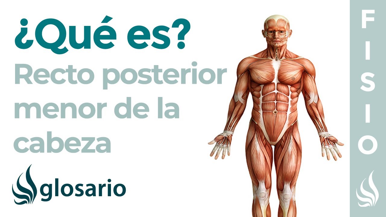 musculo recto menor de la cabeza