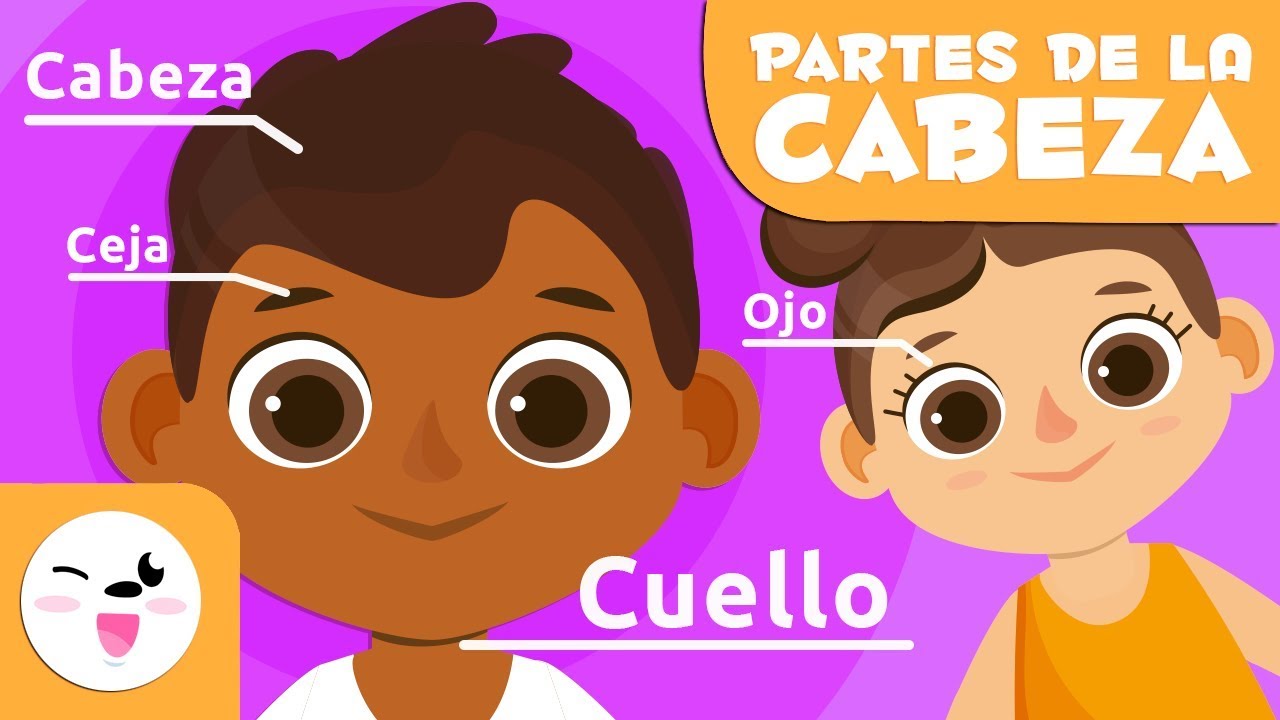 partes de la cabeza humana para niños