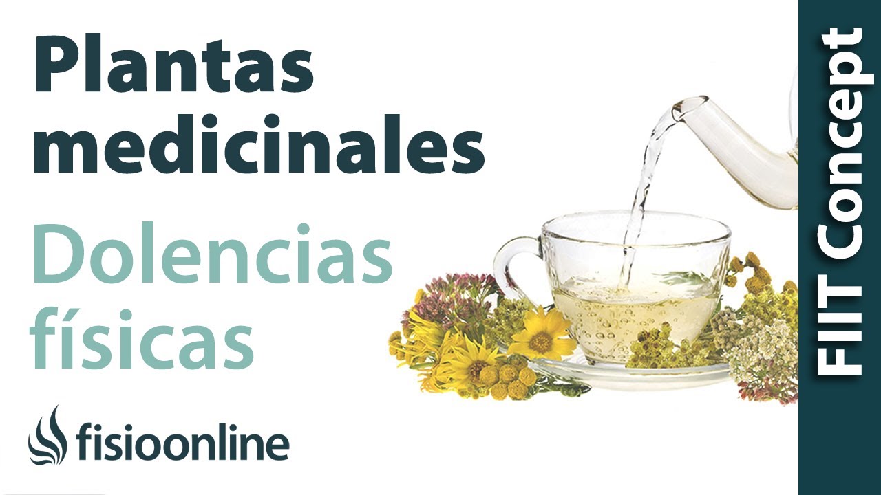 plantas medicinales para dolores musculares y articulares