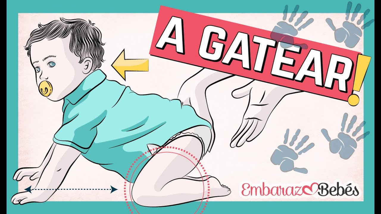 porque mi bebe no quiere gatear