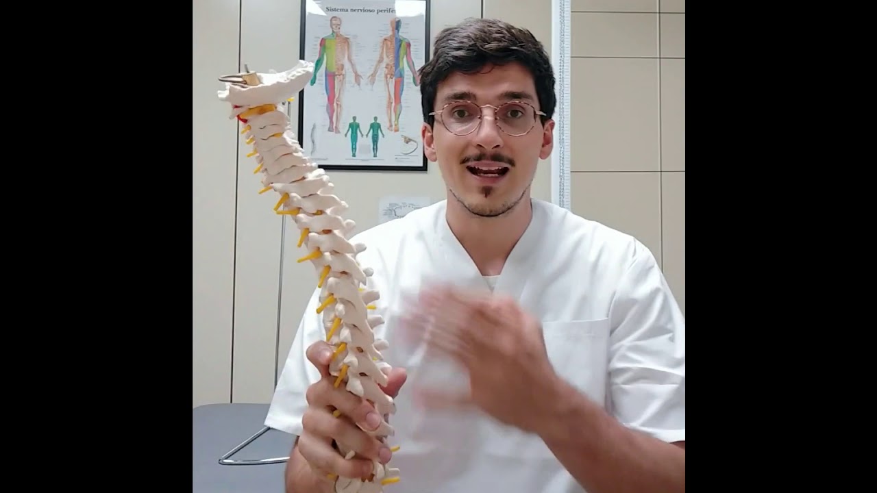 que es un quiropractico y para que sirve