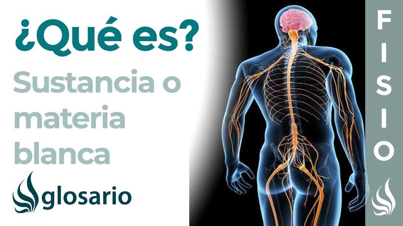 qué es una lesion en la sustancia blanca