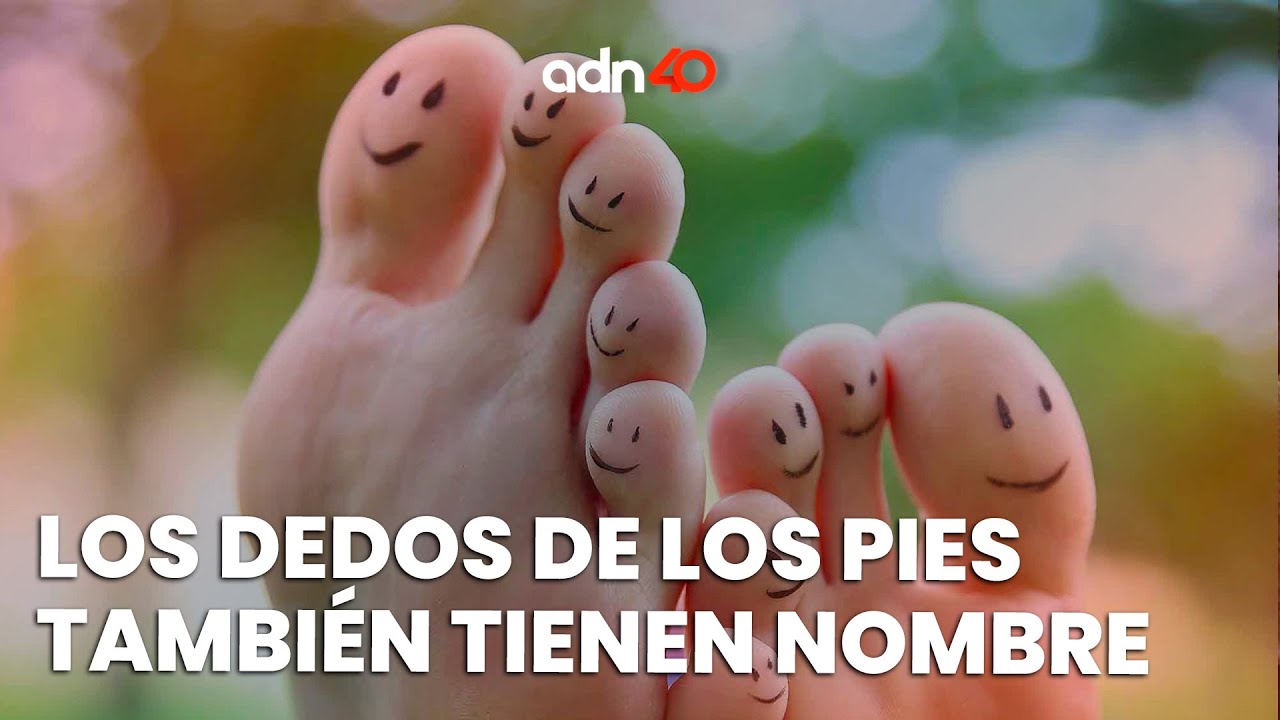 que nombre reciben los dedos de los pies