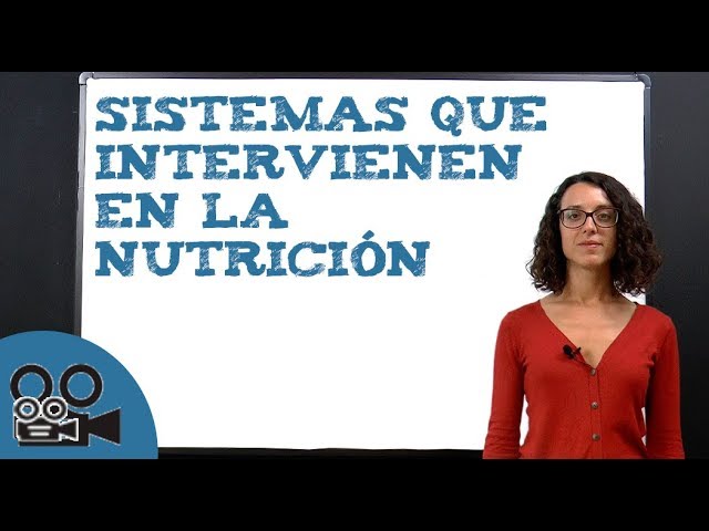 sistema que intervienen en la nutricion