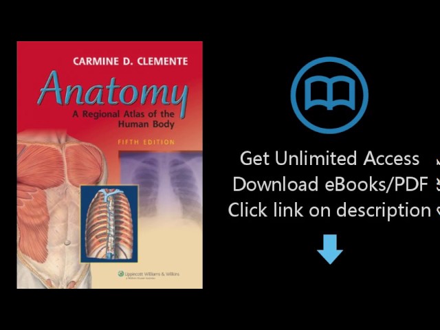 anatomy a regional atlas of the human body