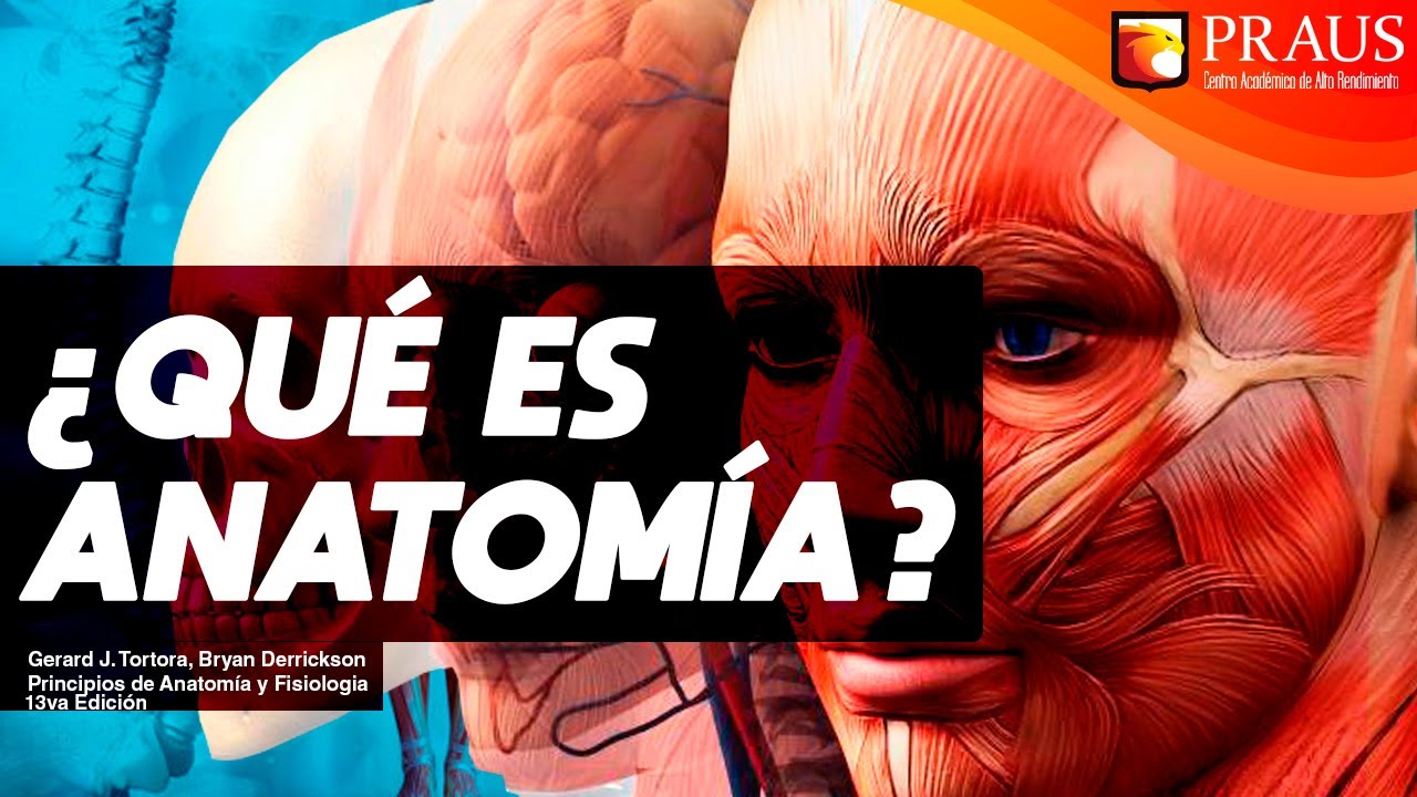 ciencia que estudia el cuerpo humano