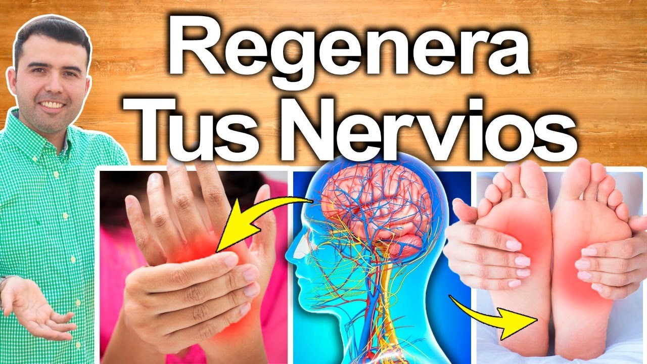 como se regenera un nervio dañado