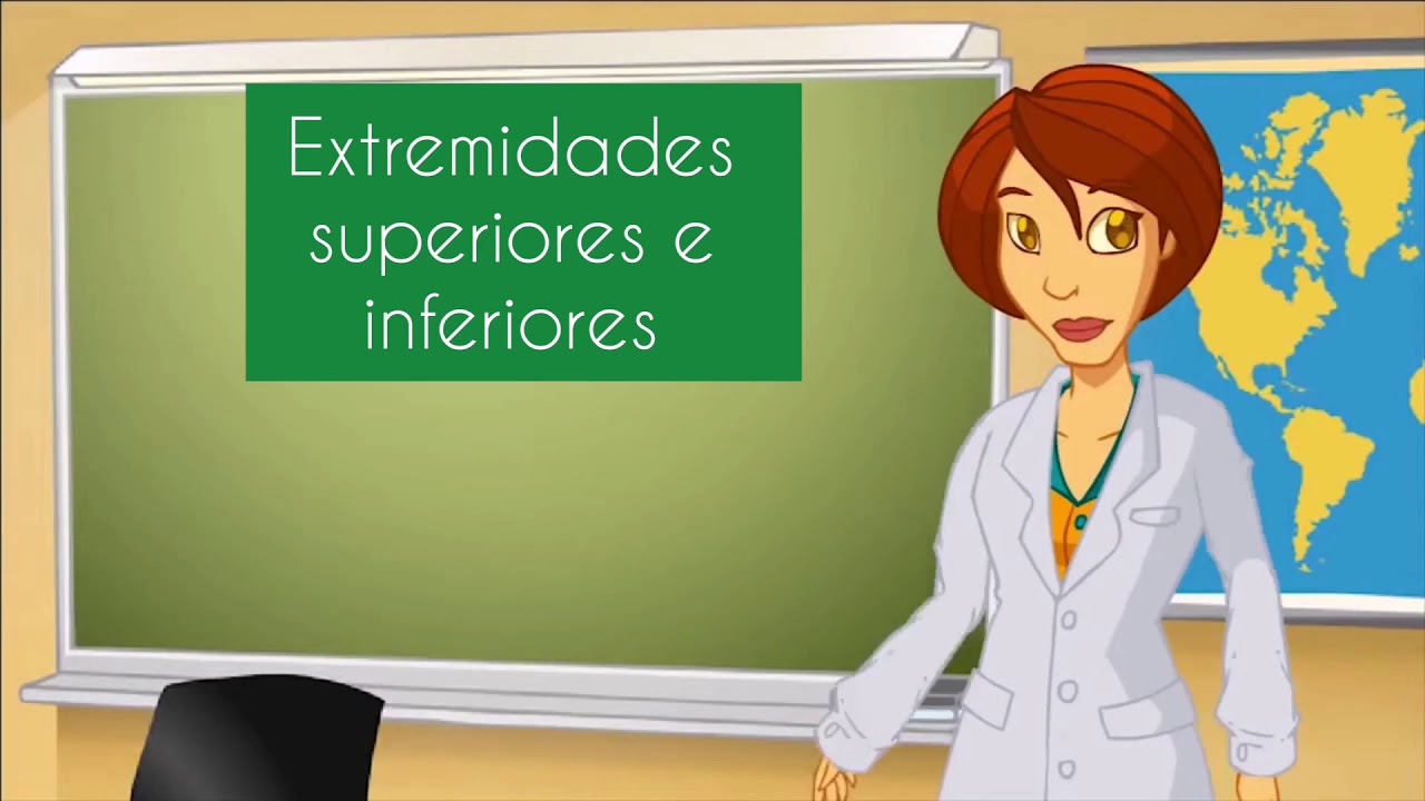 cuales son las extremidades inferiores del cuerpo humano
