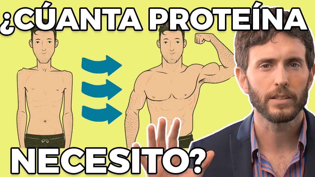 cuales son las proteinas del musculo