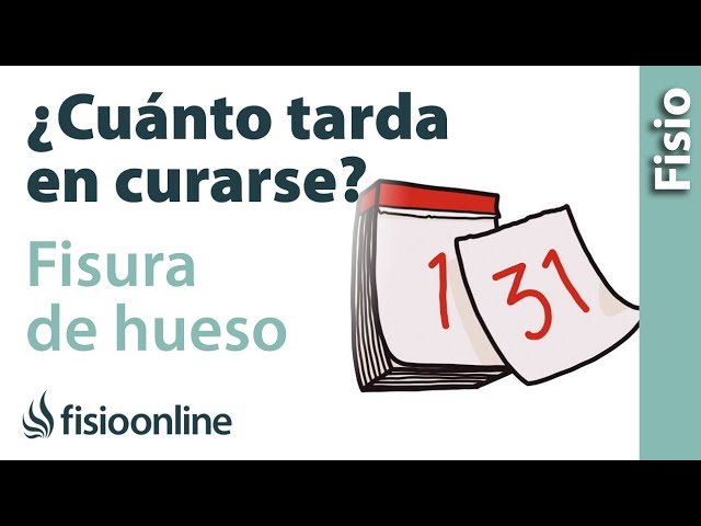 cuanto tarda en curar una fisura de hueso