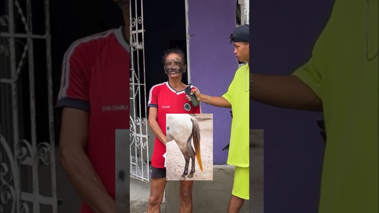 cuantos pelos tiene la cola de un caballo