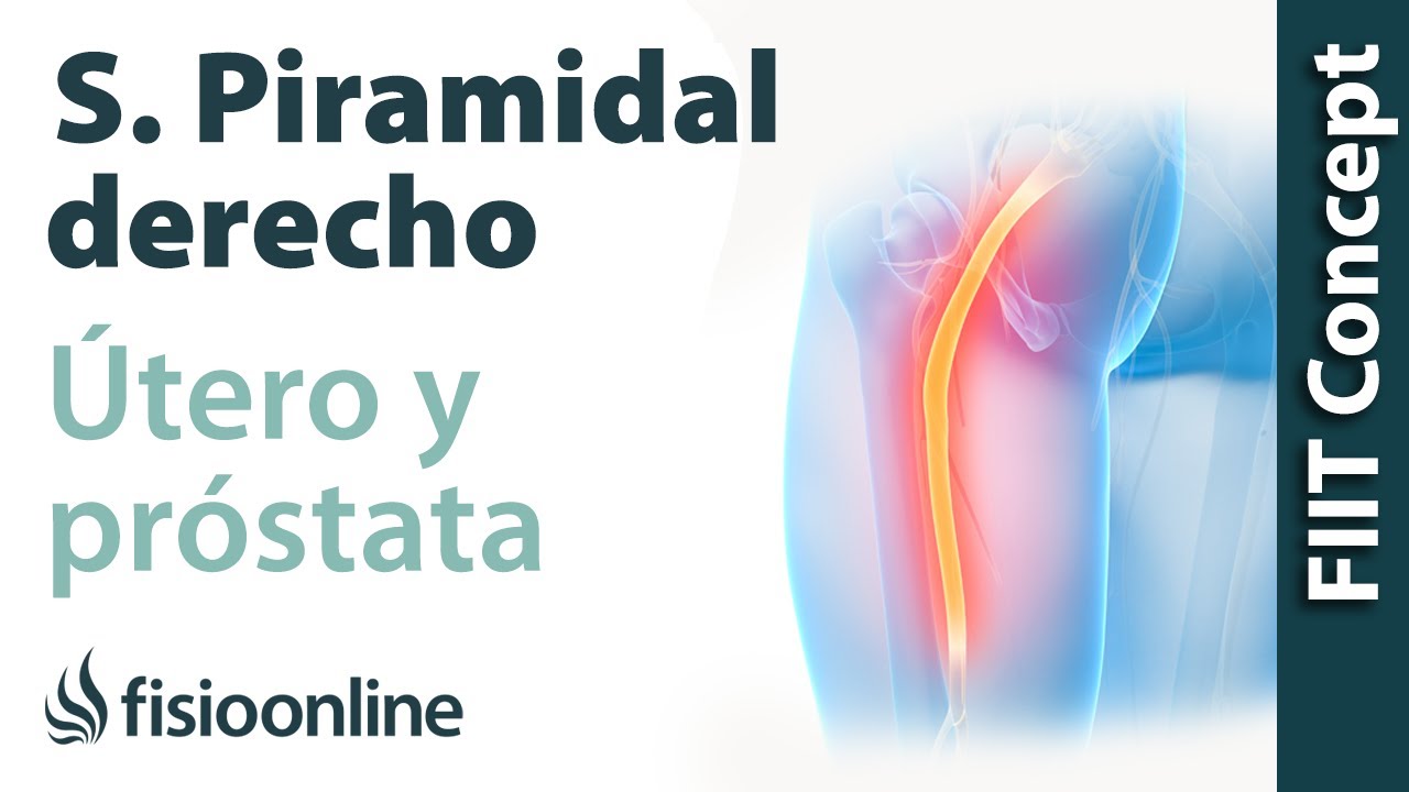 dolor en la parte superior de la nalga derecha