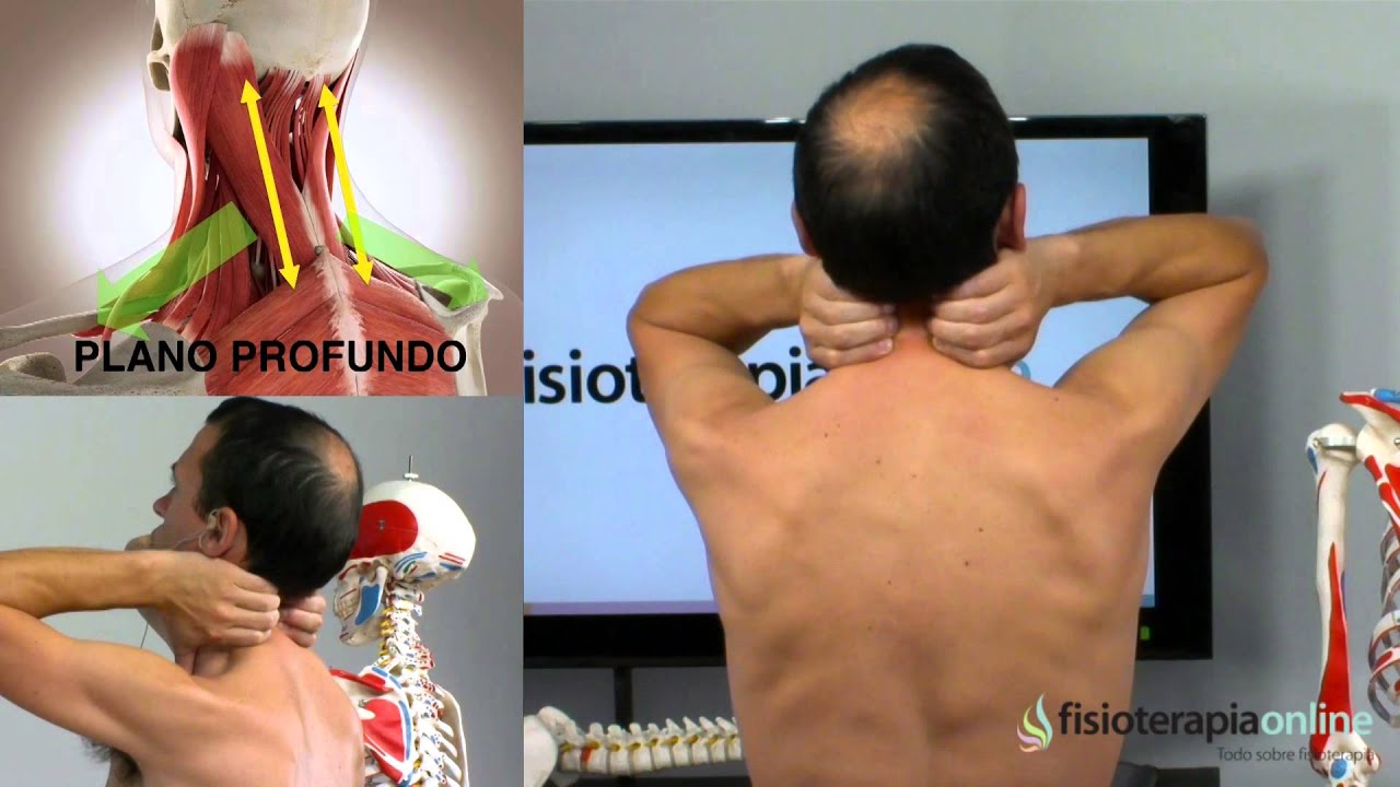 dolor intenso en el cuello y hombro