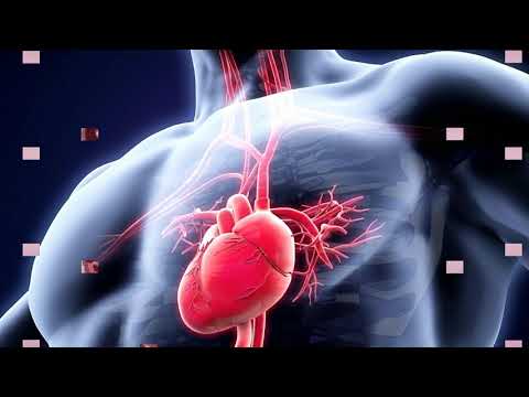 efectos fisiologicos de la corriente electrica