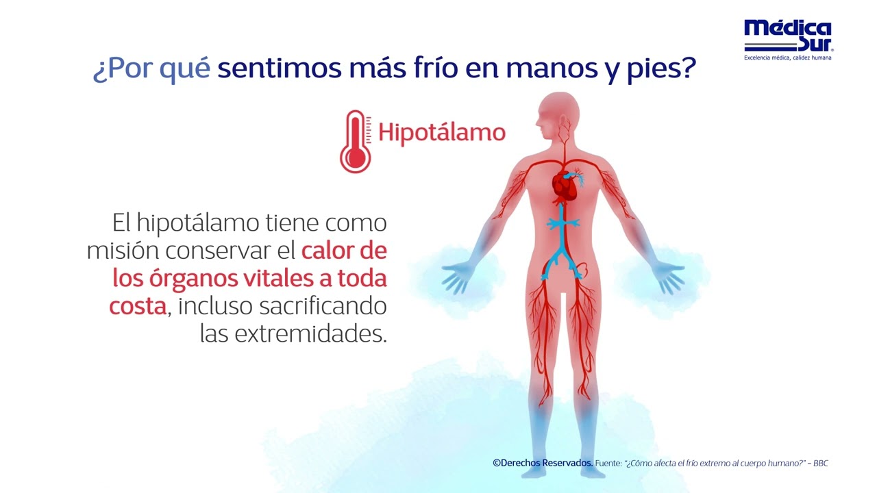 fiebre dolor de cabeza manos y pies frios