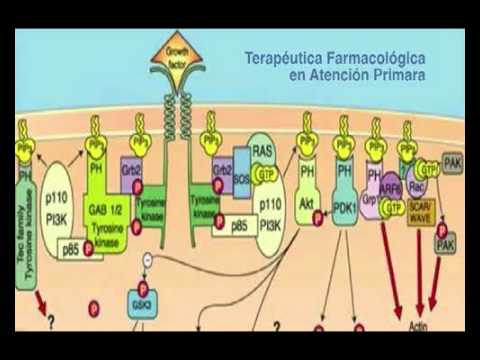 mecanismo de accion de un medicamento